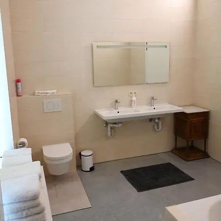Aparthotel Landlord Bij Leuven Holsbeek